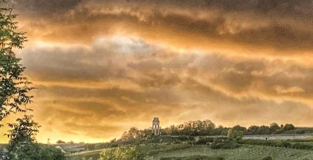 Ferienwohnung Im Schoenen Zellertal Wachenheim an der Weinstraße Buitenkant foto